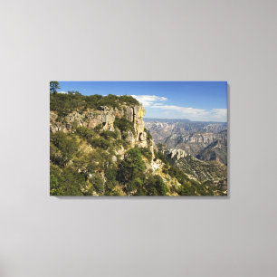 Mexico, staat Chihuahua, Koperkanyon. DIT Canvas Afdruk