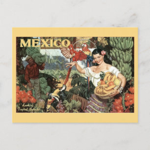  Mexico Toerisme Tropisch Kleurrijk Reizen Briefkaart