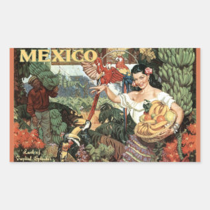 Mexico vintage reizen stickers