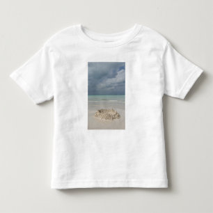 Mexico, Yucatan, Isla Mujeres Eiland van Kinder Shirts