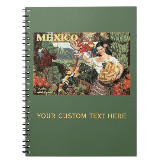 Mexique carnet de voyage vintage (Devant)