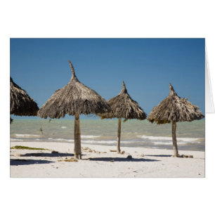 Mexique, péninsule du Yucatan, Progreso. Chaume