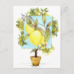 Meyer Citroenboom Citrusfruit Tuin Briefkaart