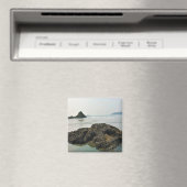 Meyers Beach North, Gold Beach, Oregon Magneet (Insitu (Vaatwasser))