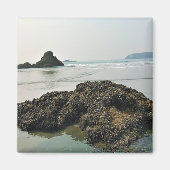 Meyers Beach North, Gold Beach, Oregon Magneet (Voorkant)