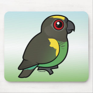 Meyer's Parrot Muismat