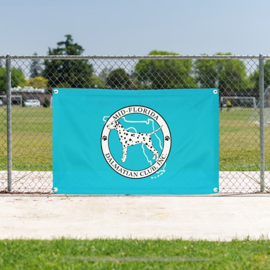 MFDC Banner (Insitu)