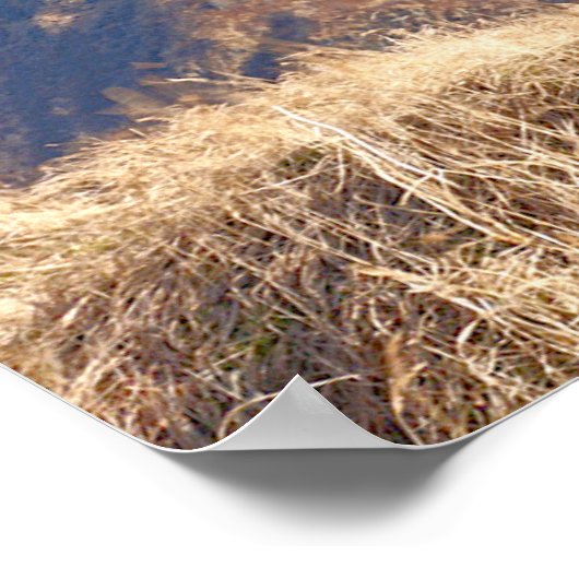 MH-60T JAYHAWK POSTER (Hoek)