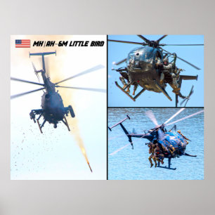 MH/AH-6M KLEINE VOGEL POSTER
