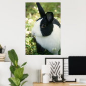 MHRR affiche murale de lapin noir et blanc holland (Bureau à domicile)