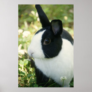 MHRR affiche murale de lapin noir et blanc holland