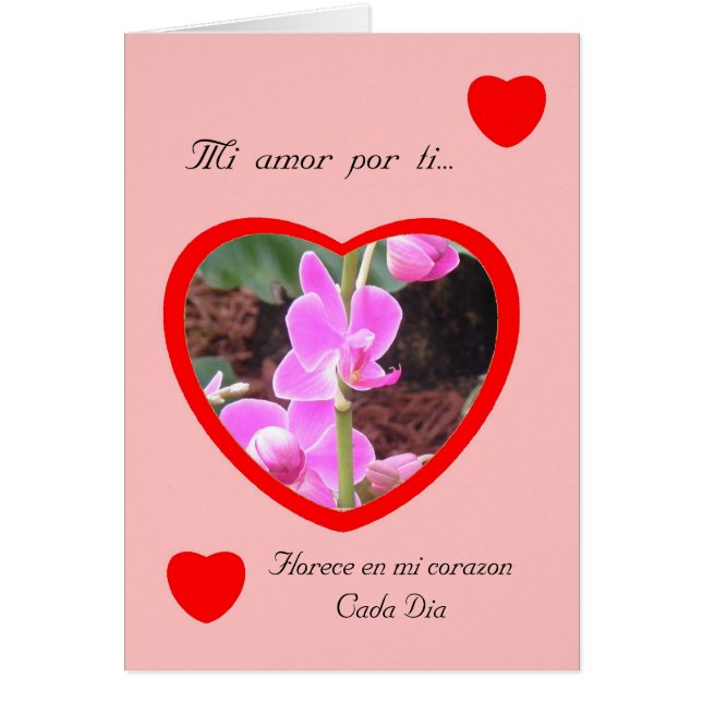 MI amor Por ti San Valentin (Voorkant)
