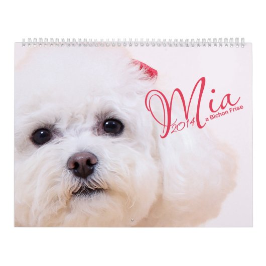 Mia - een Bichon Frise 2014-kalender Kalender (Hoes)