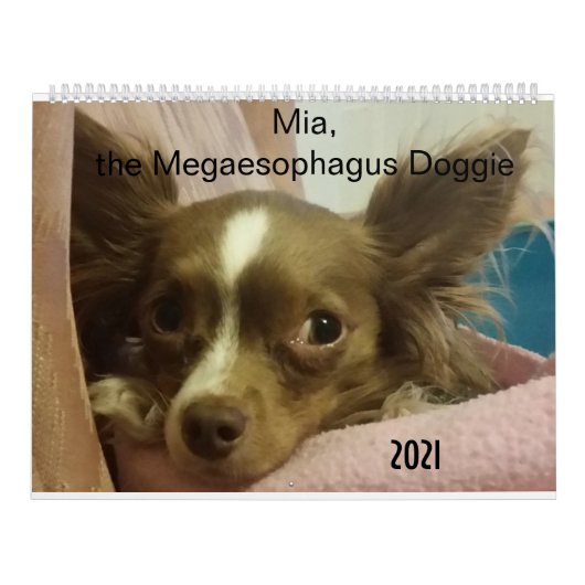 Mia le Megaesophagus Doggie 2021 Calendrier (Protection)