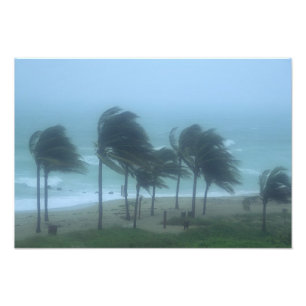 Miami Beach, Florida, orkaanwinden striemen Foto Afdruk