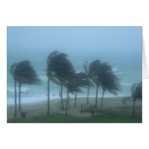 Miami Beach, Floride, vents d'ouragan fouettant
