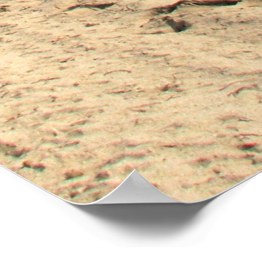 Miami Beach Poster (Hoek)