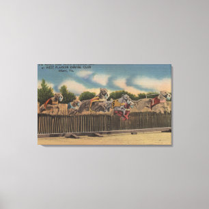 Miami, FL - Greyhound Dog Race bij Kennel Club Canvas Afdruk