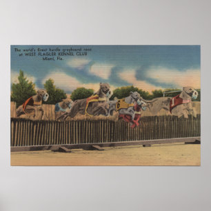 Miami, FL - Greyhound Dog Race bij Kennel Club Poster