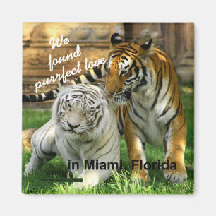 Miami Florida Purrfect Love Tiger Fridge Magnet Magneet