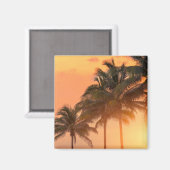 Miami Palms Magneet (Voorkant / Achterkant)