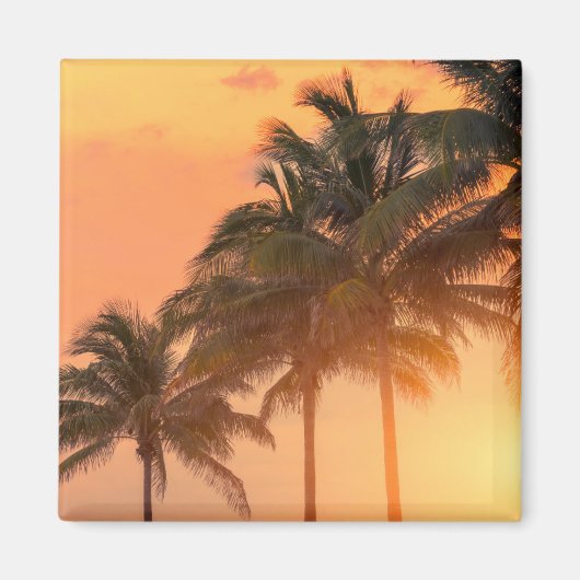 Miami Palms Magneet (Voorkant)