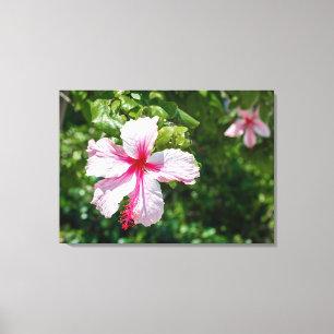 Miami Pink Hibiscus Tropical Flower Bloom  Canvas Afdruk