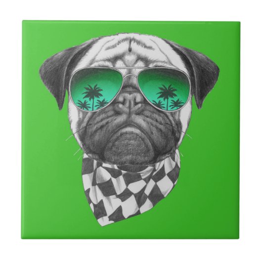 Miami Pug Tegeltje (Voorkant)