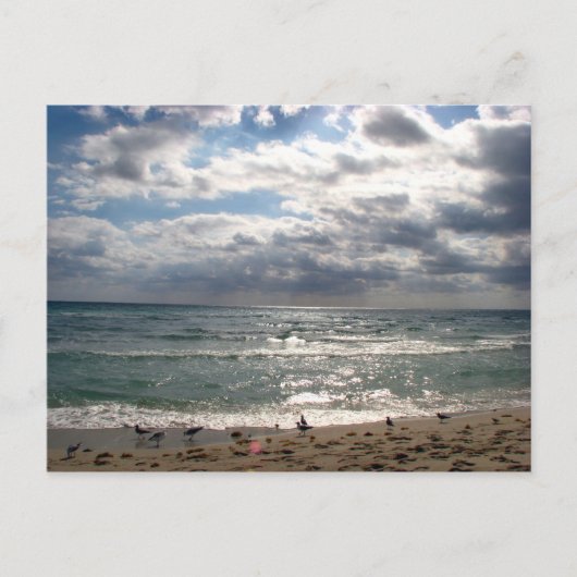 Miami-serie Briefkaart (Voorkant)