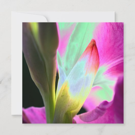 Miami Style Floral Blank Card (Voorkant)
