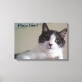 Miauw daar Prachtige Kitty Kat Portret Canvas Afdruk (Voorkant)