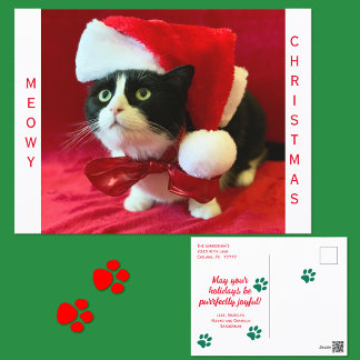 Miauw Kerstmis Tuxedo Kat Feestdagenkaart
