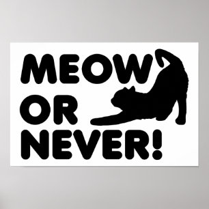 Miauw of Nooit Grappige Poster