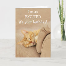 Miauw-Velous van de Cat Birthday Kaart