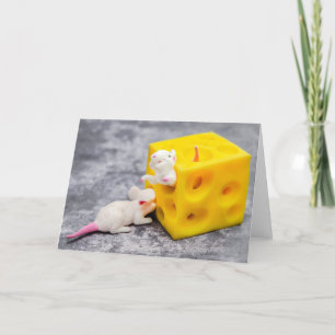 Mice on Cheese Funny Toys Greeting Card Kaart
