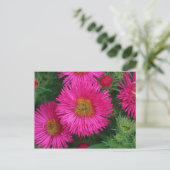 Michaelmas Daisies Briefkaart (Staand voorkant)