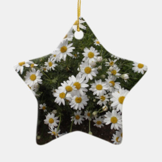 Michaelmas Daisies Keramisch Ornament