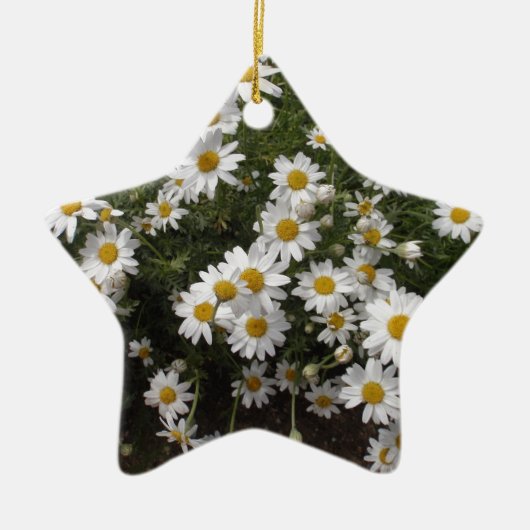 Michaelmas Daisies Keramisch Ornament (Voorkant)