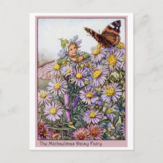 Michaelmas Daisy Fairy Briefkaart (Voorkant)
