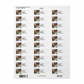 Michelangelo Creatie Adam God Art Etiket (Full Sheet)