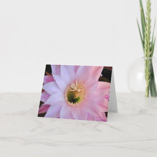 Michelle's cactus bedankkaart (Voorkant)