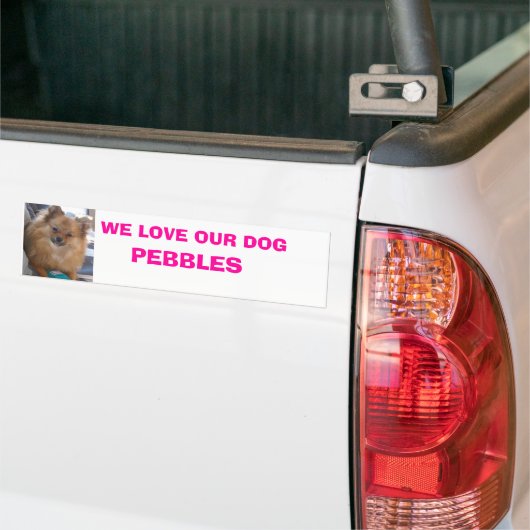 Michelle's Dog Bumpersticker (Op Truck)