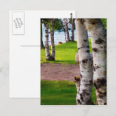 Michigan Birch Trees bij Lake Briefkaart (Voorkant / Achterkant)