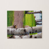 Michigan Birch Trees bij Lake Legpuzzel (Horizontaal)