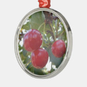Michigan Cherries Metalen Ornament (Links)