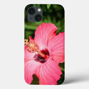 Michigan, Dearborn. Detail van roze hibiscus iPhone 13 Hoesje