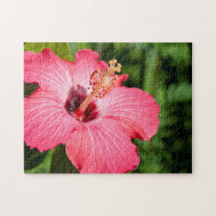Michigan, Dearborn. Detail van roze hibiscus Legpuzzel