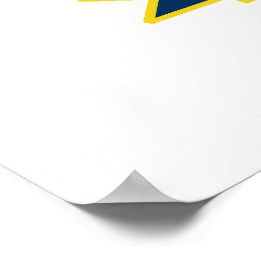 Michigan Diamond Poster (Hoek)