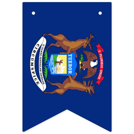 Michigan Flag Party, bunting Banners / bruiloft (Tweede vlag)