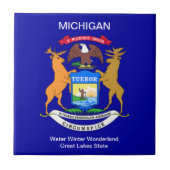 Michigan Flag Tegeltje (Voorkant)